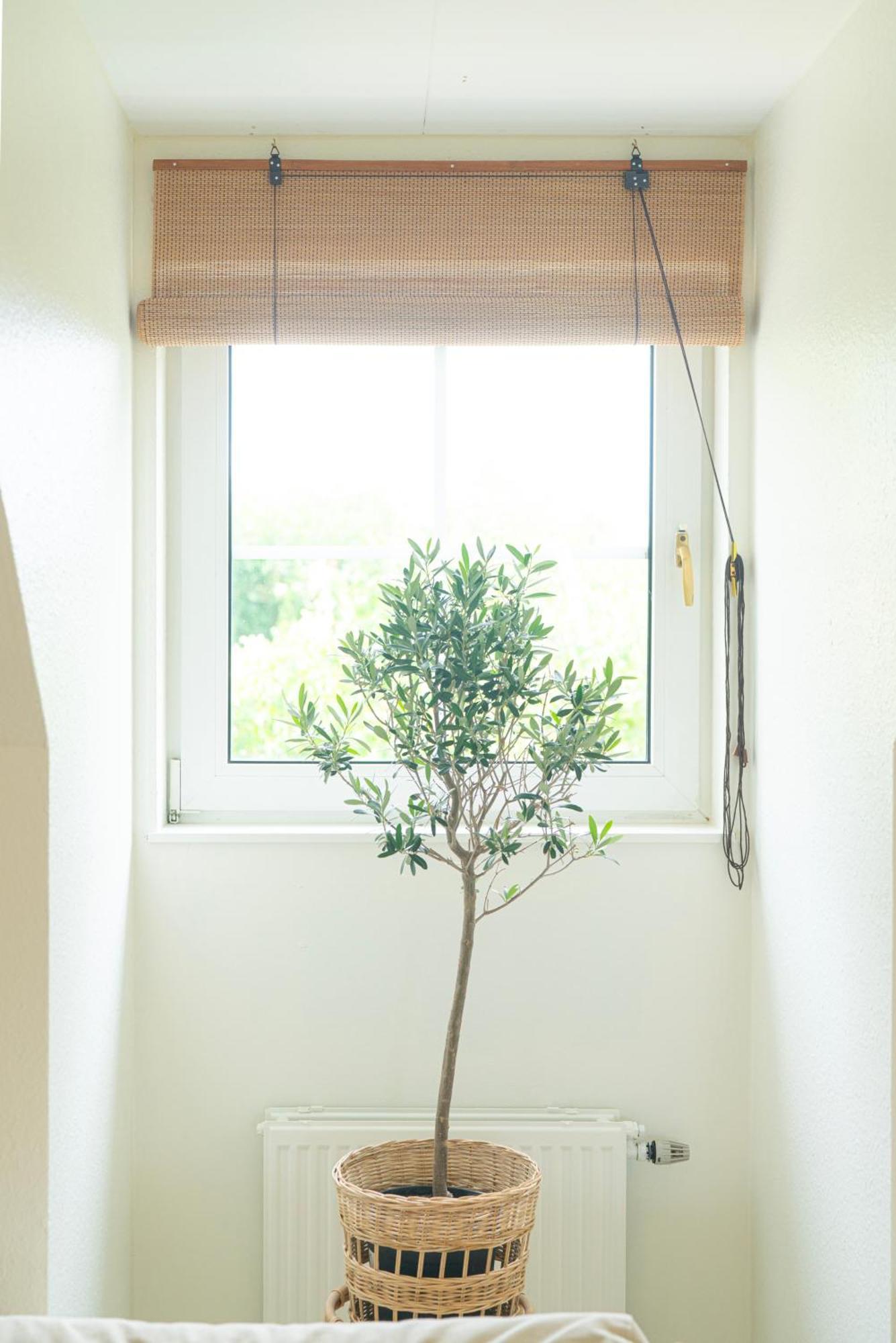 Falsterbo - Sea Breeze Apartment マルメ エクステリア 写真